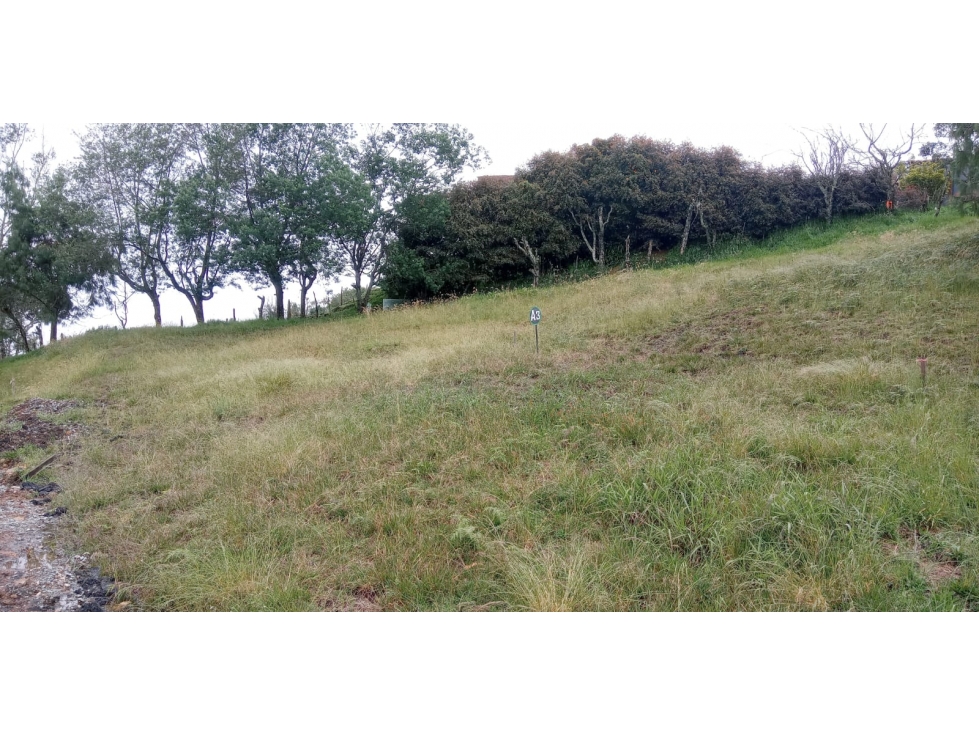 Lote en Venta Alto de las Palmas, Sector el Silencio Envigado — foto 6