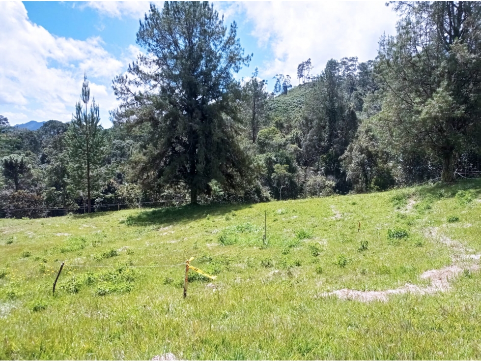 Lote en Venta en Parcelación El Retiro Sector Paso del Toro