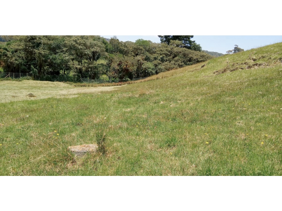 Venta de Lote Sector Envigado Alto de palmas por la Acuarela — foto 4
