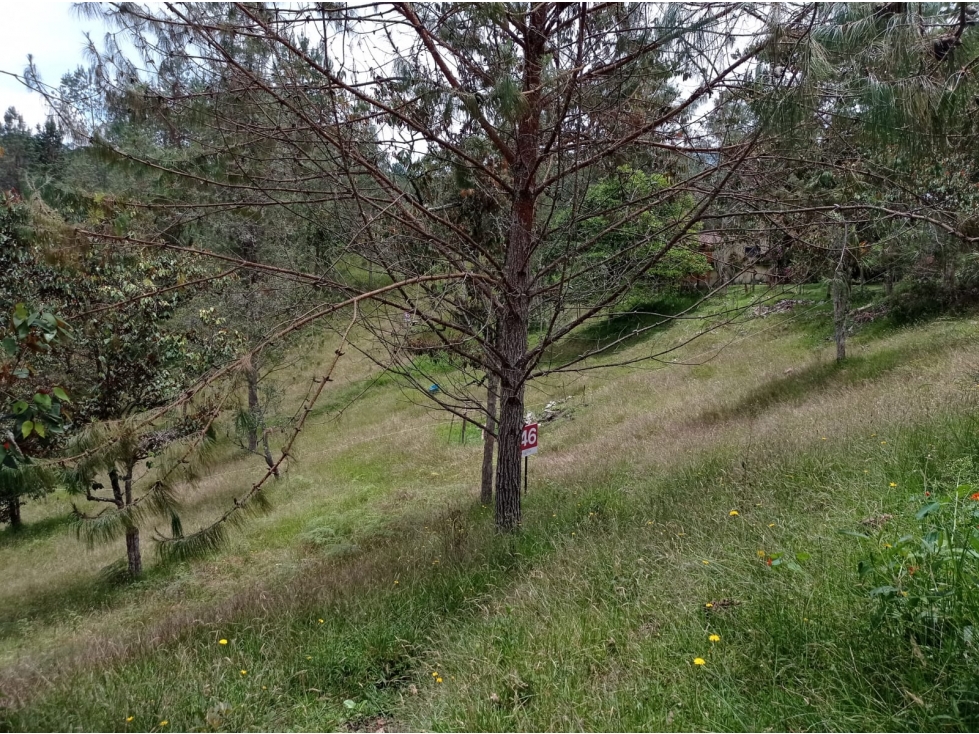 Lote en Venta en Hermosa Parcelación en el Retiro, Sector Pantanillo — foto 6