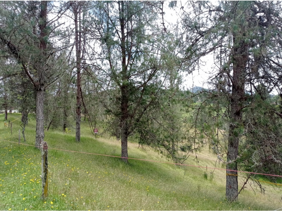 Lote en Unidad Cerrada en el Retiro Sector Pantanillo — foto 5