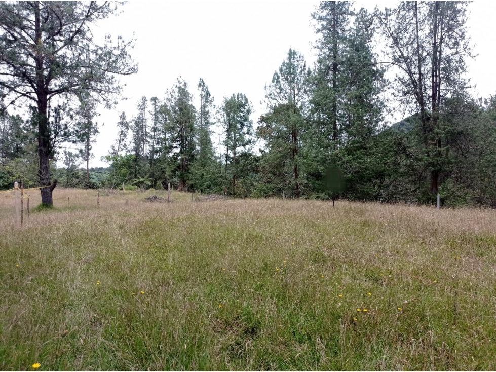 Lote en Hermosa Parcelación en el Retiro, Sector Pantanillo — foto 5