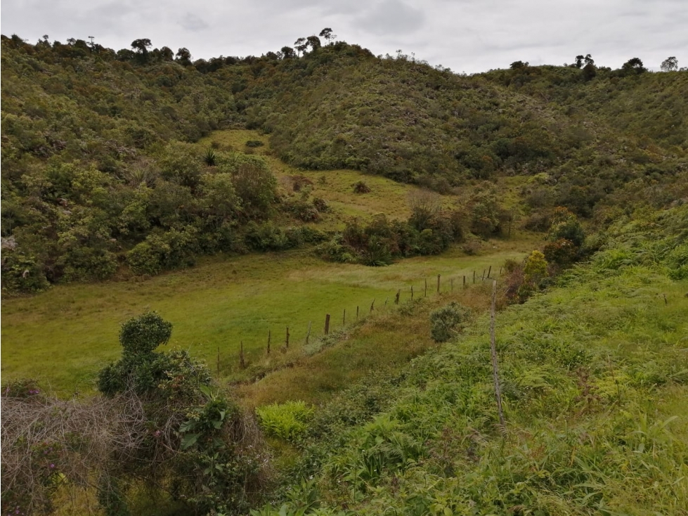 Venta de lote sector Montegrande - San Vicente