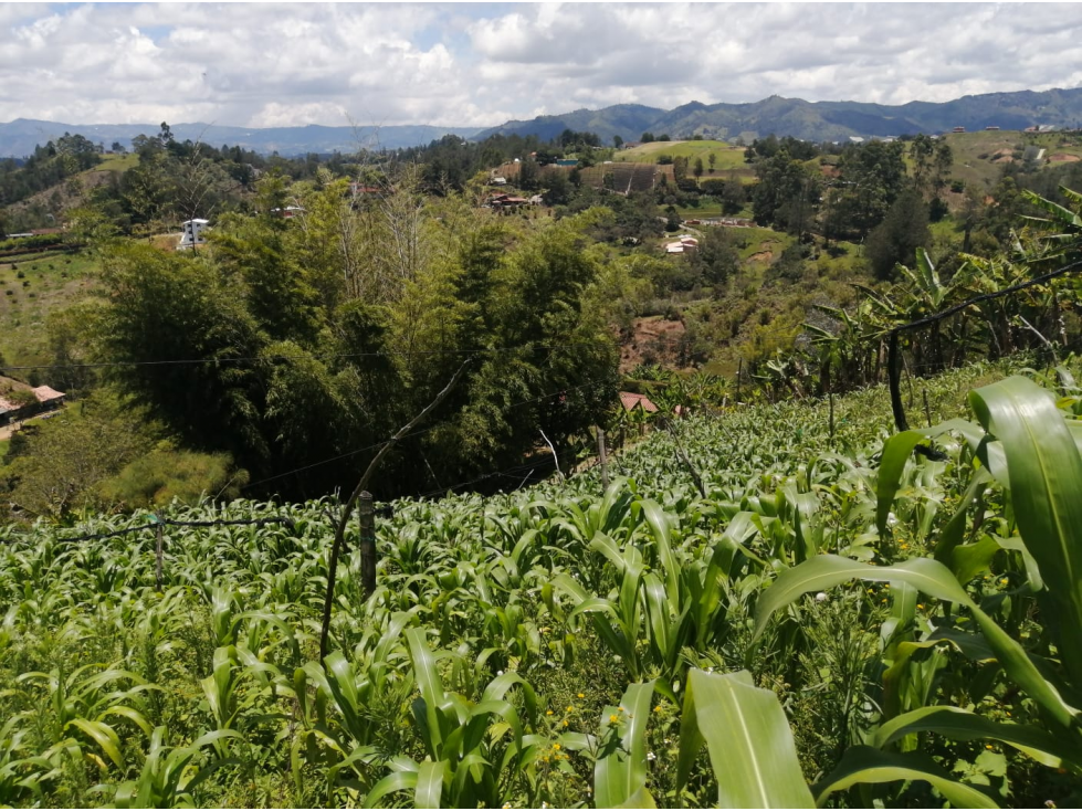 Venta de lote sector Las hojas - San Vicente