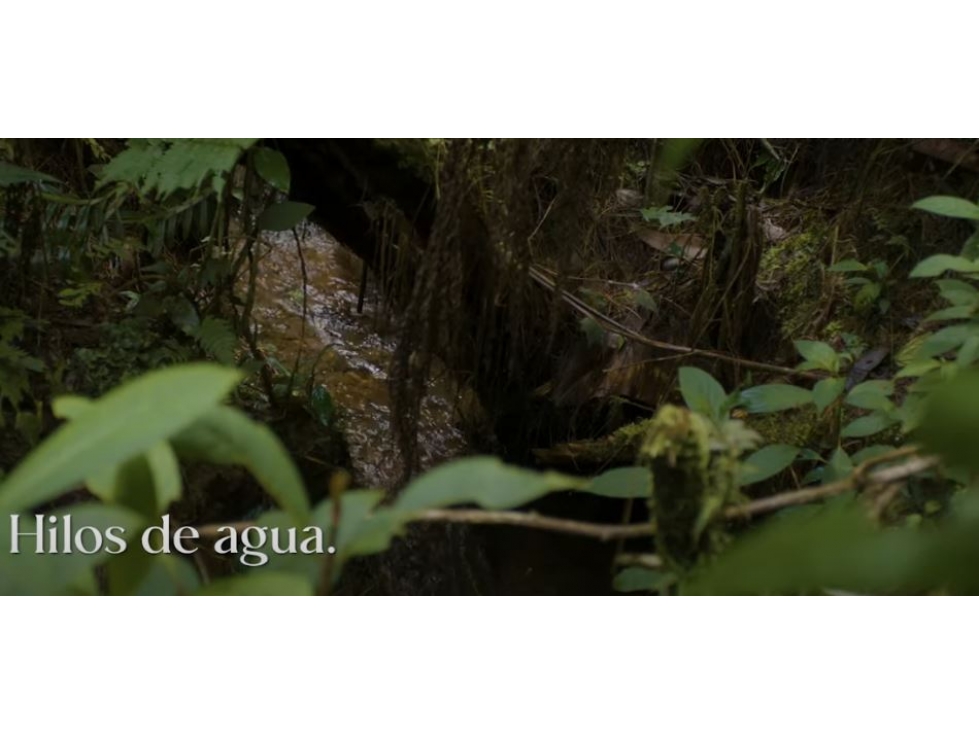 Venta de Lote en El Retiro Vía La Ceja - Don Diego — foto 5