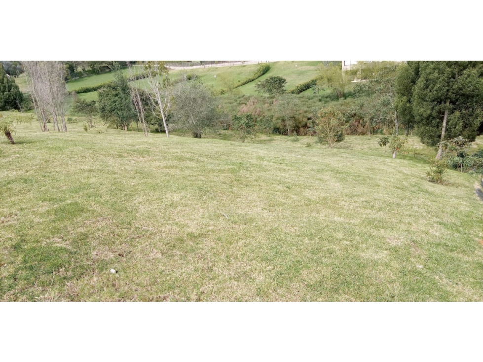 Lote en Venta La Acuarela, Alto de Palmas - Envigado — foto 4