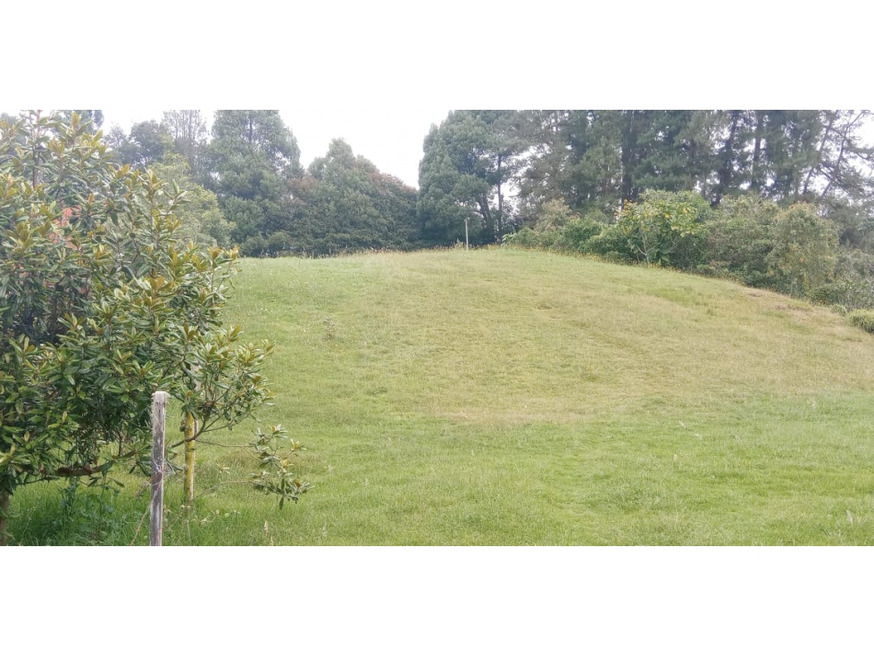 Lote en Venta Sector Indiana - Hacienda Arrayanes — foto 4