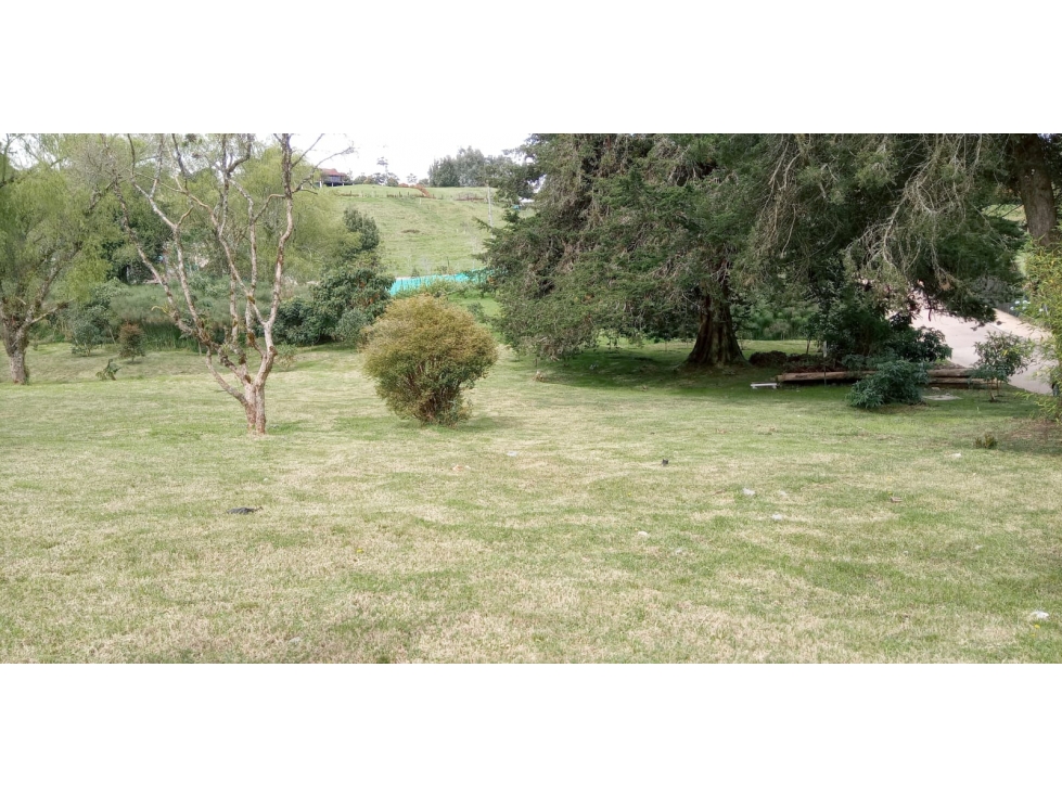 Lote en Venta Sector La Acuarela, Alto de Palmas - Envigado — foto 4