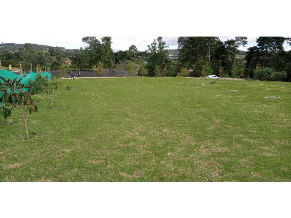 Lote en Venta Sector La Acuarela - Alto de Palmas en Envigado — foto 4