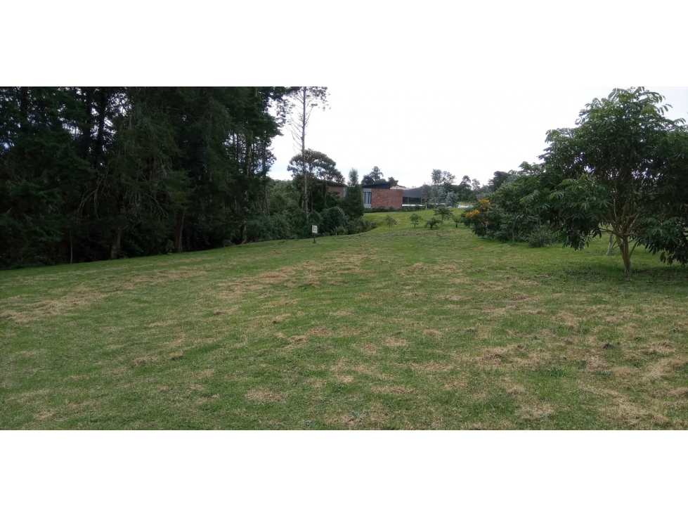 Lote en Venta Sector La Acuarela - Alto de Palmas en Envigado — foto 4