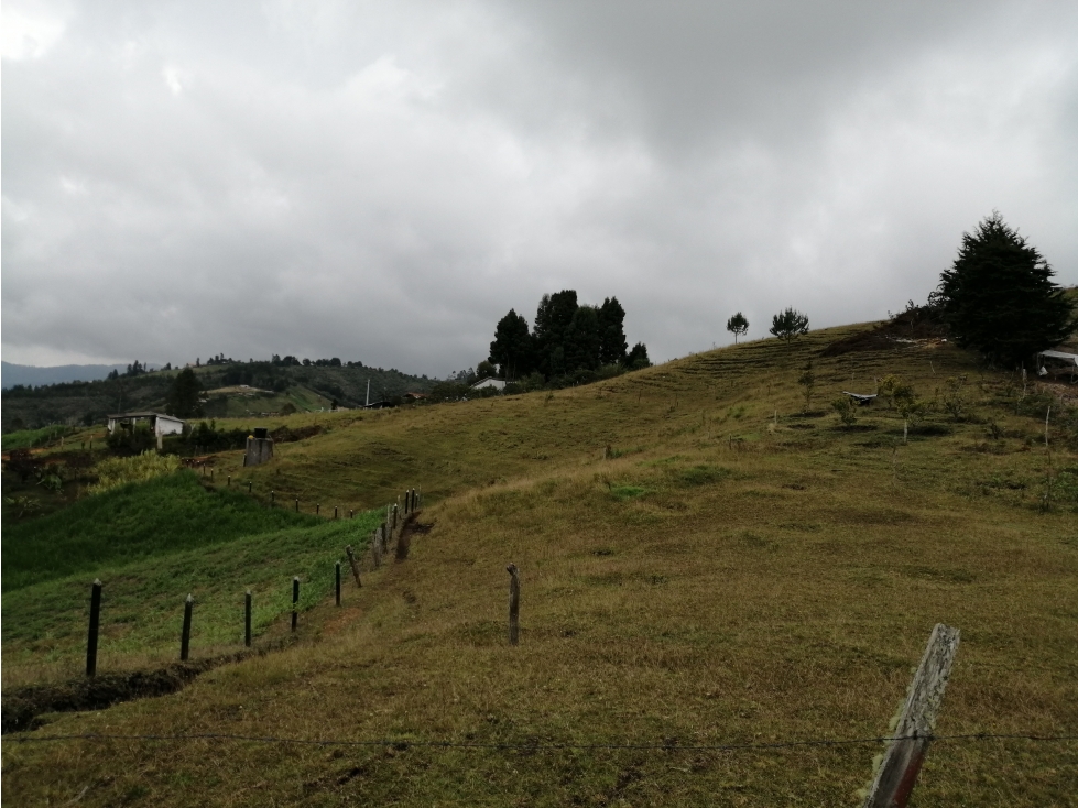 Lote en Venta Sector La Mejia - Guarne — foto 4