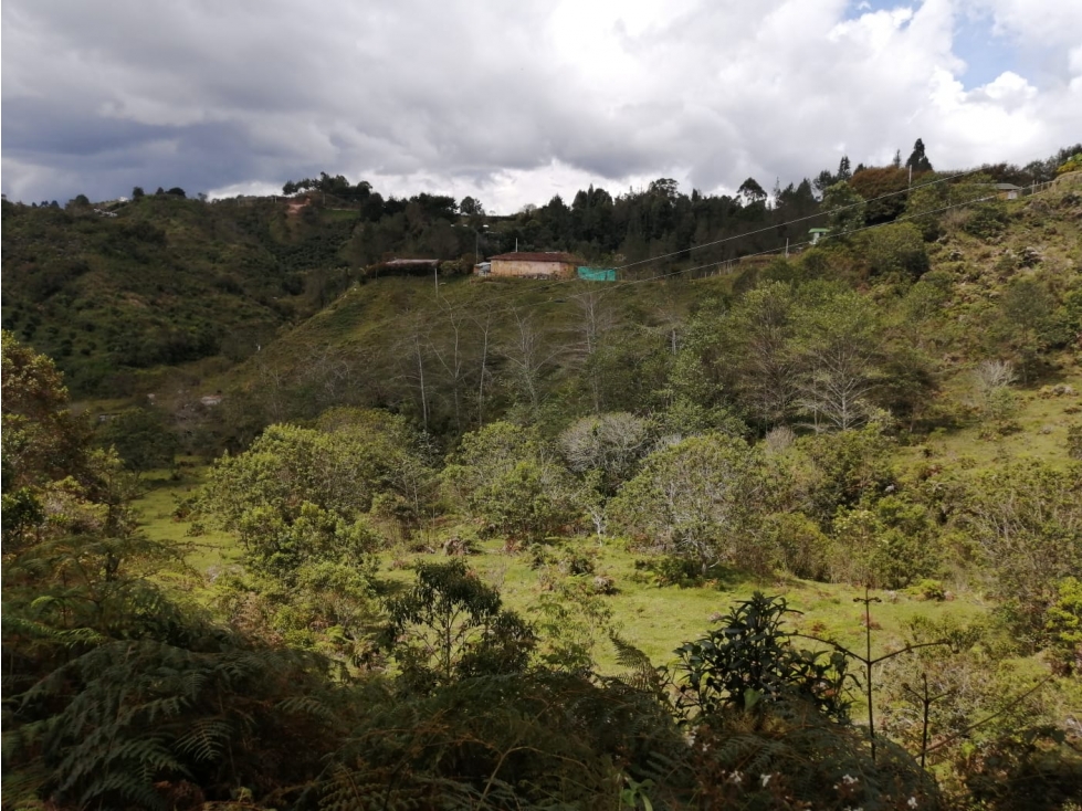 Lote en Venta Sector El Porvenir - San Vicente — foto 5