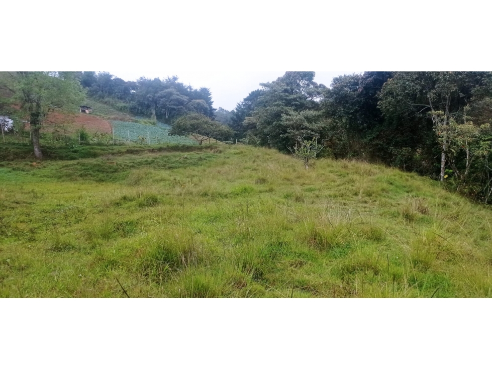 Hermoso Lote en Venta Sector Vereda el Morillo - Santuario — foto 5