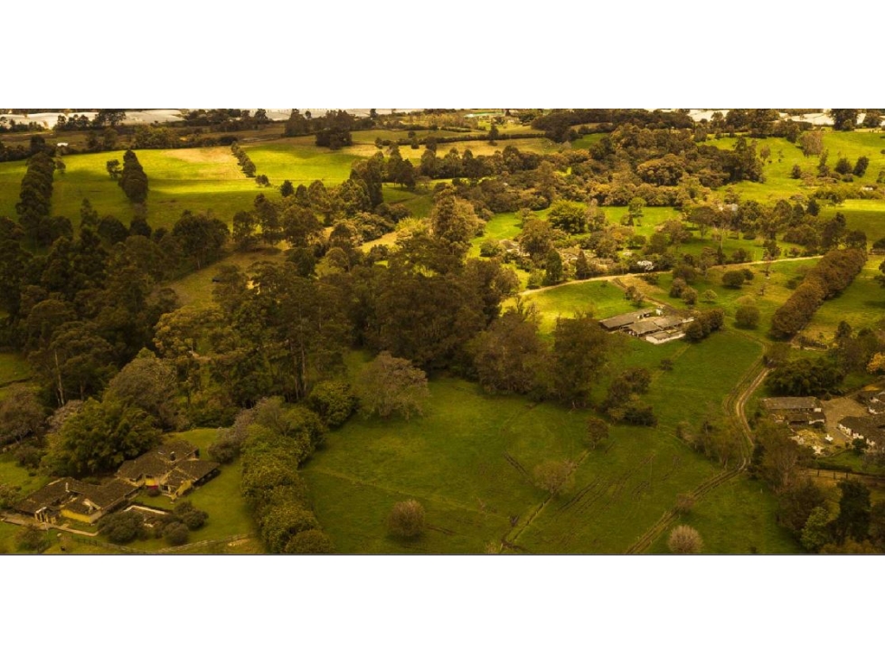 Lote en Venta Sector El Yarumo - La Ceja