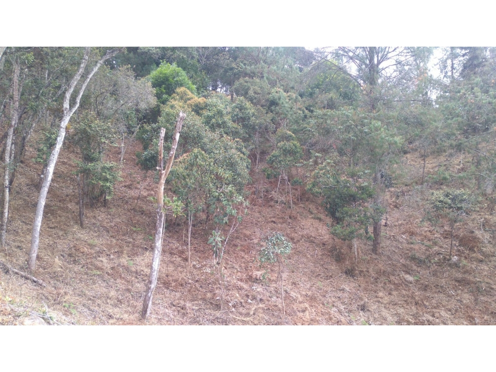 Lote en Venta Sector Vermont El Retiro — foto 6