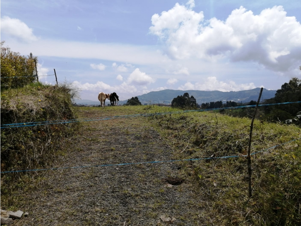 Lote en Venta Sector El Cerro, Carmen de Viboral — foto 4