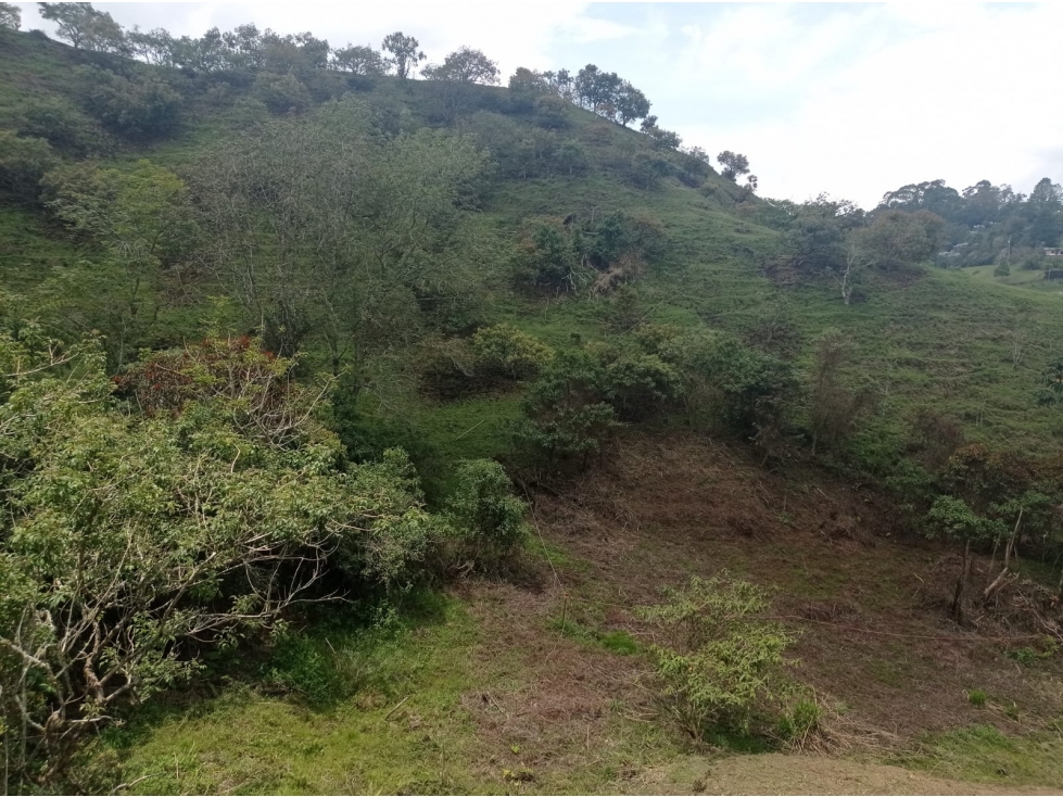 Lote en Venta Proyecto de Parcelación en El Retiro, Vía Pantanillo — foto 5