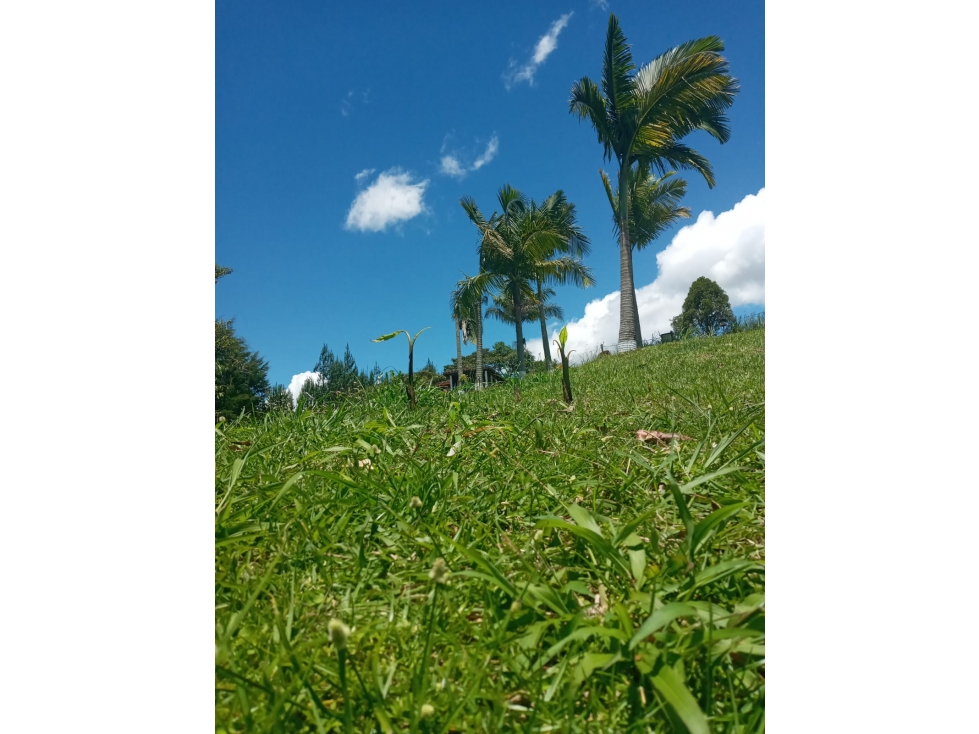 Finca Sector Ojo de Agua Parte Alta El Carmen de Viboral — foto 4