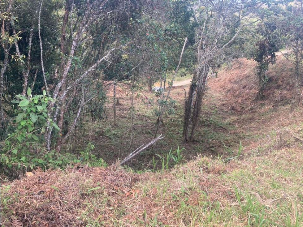 Lote Independiente en Venta Guarne, Vereda la Honda — foto 3