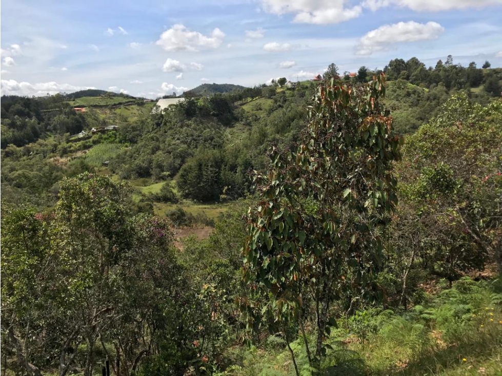 Lote en Venta en Chaparral, Municipio de San Vicente Ferrer — foto 4