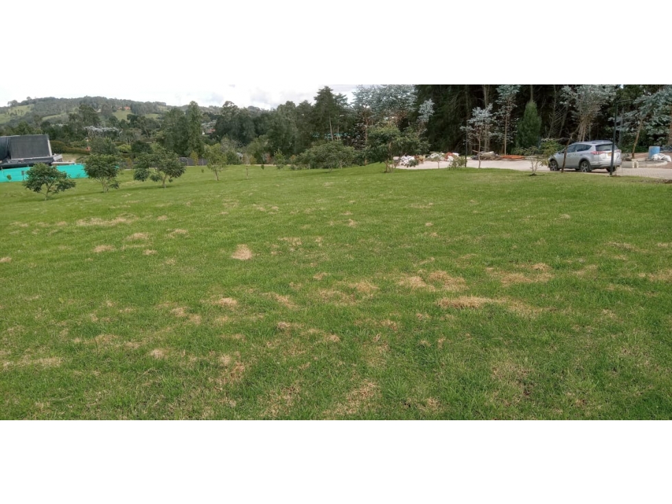 Lote en Venta Sector La Acuarela - Alto de Palmas en Envigado — foto 4