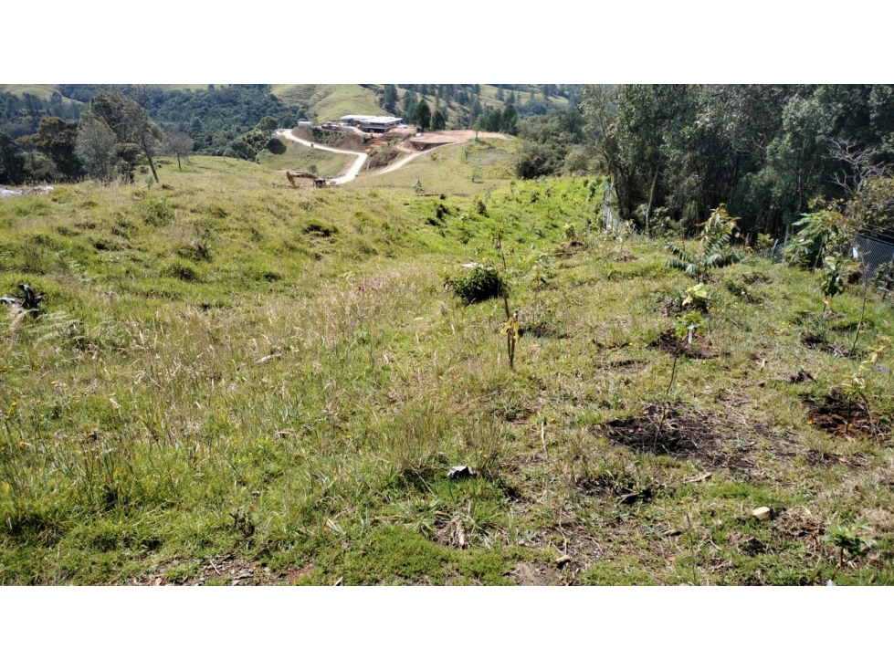 Lote en Refugio Natural Sector Alto de las Palmas, Envigado — foto 4