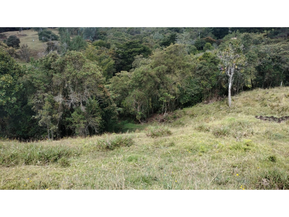 Lote en Exclusivo Sector en Alto de Palmas, Envigado — foto 4
