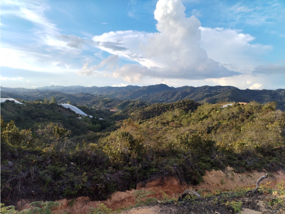 Lote Independiente con Vista Profunda en San Vicente — foto 4
