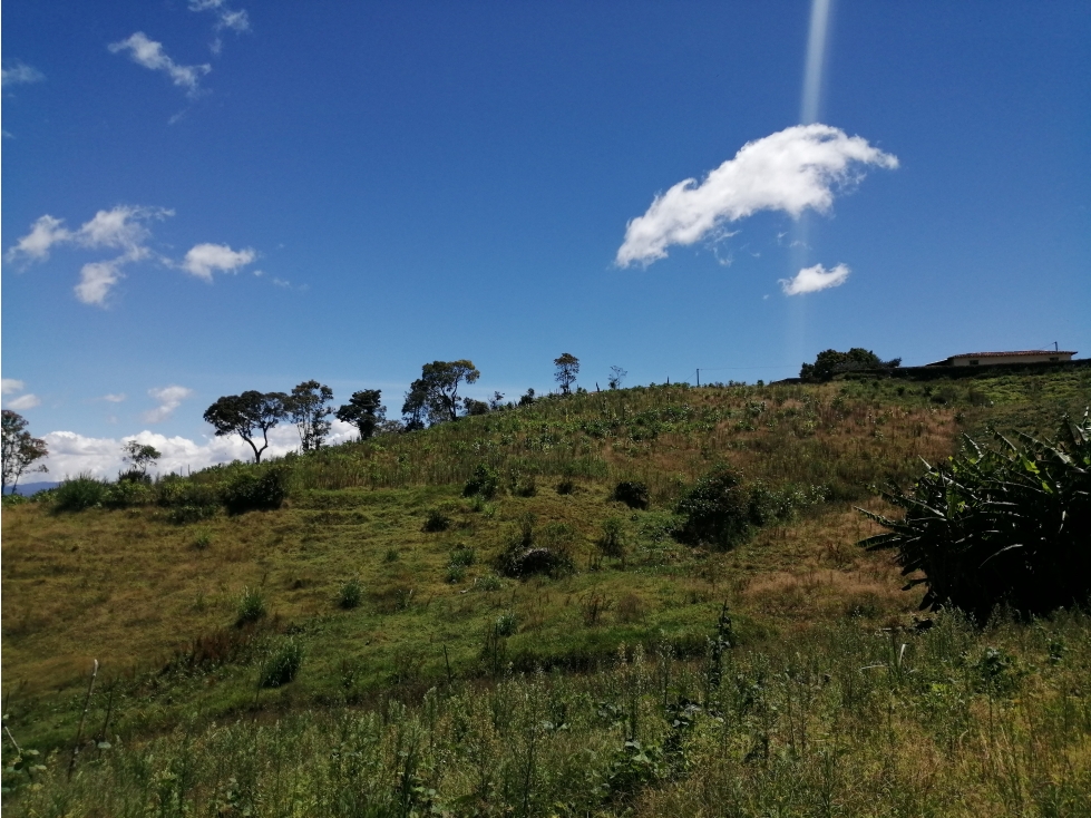 Lote Sector Alto del Chocho en Marinilla — foto 4