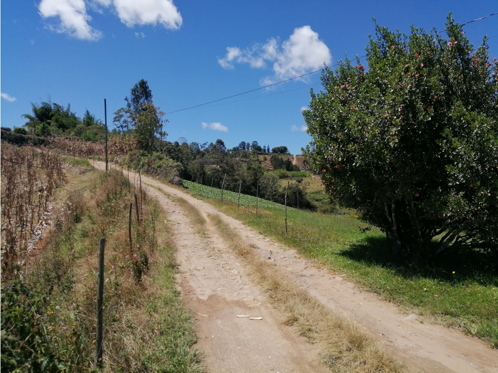Lote con Casa Campesina en Venta Vereda Chocho Mayo, Marinilla — foto 4