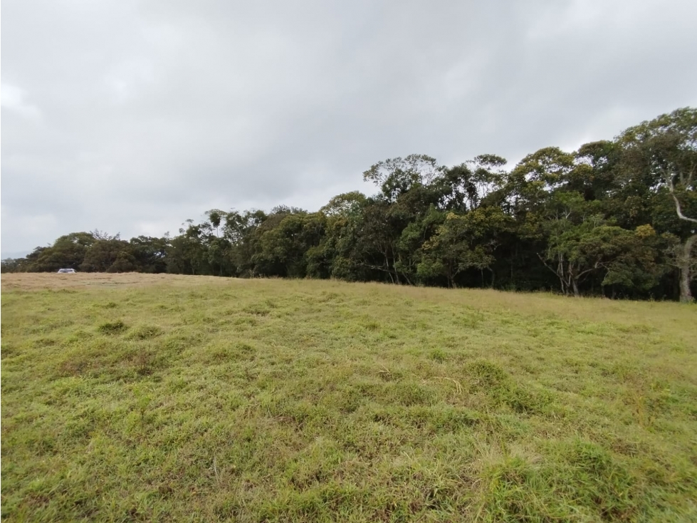 Lote en Venta en Parcelación Vía La Ceja -San Antonio — foto 5