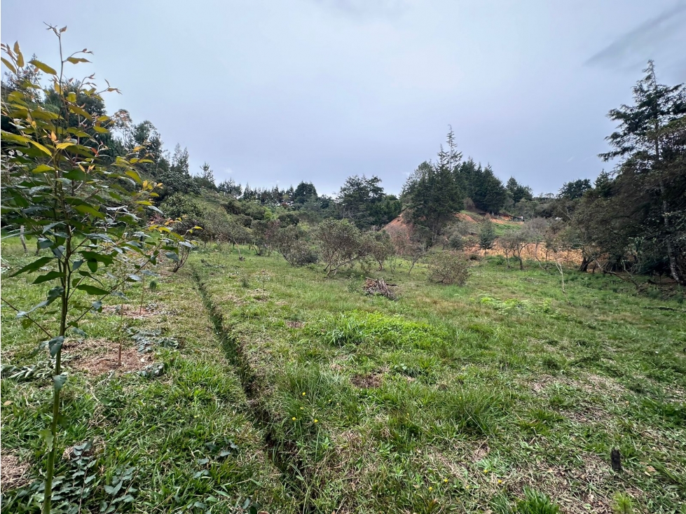 Lote Urbano Sector Vía Aeropuerto Hacia Autopista Medellín - Bogotá — foto 4