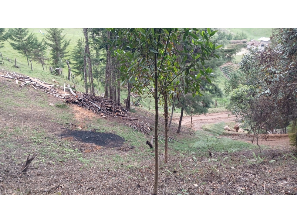 Lote Campestre en Puente Pelaez en el Retiro Antioquia — foto 4