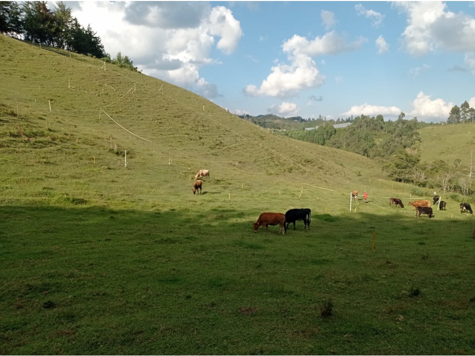 Lote en Venta en Nueva Parcelación en el Retiro, Sector El Chuscal — foto 2