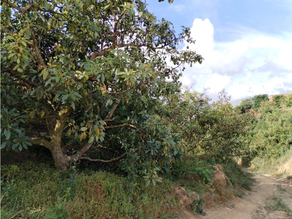 Finca con Gran Potencial en Venta para Remodelar, en San Vicente — foto 4