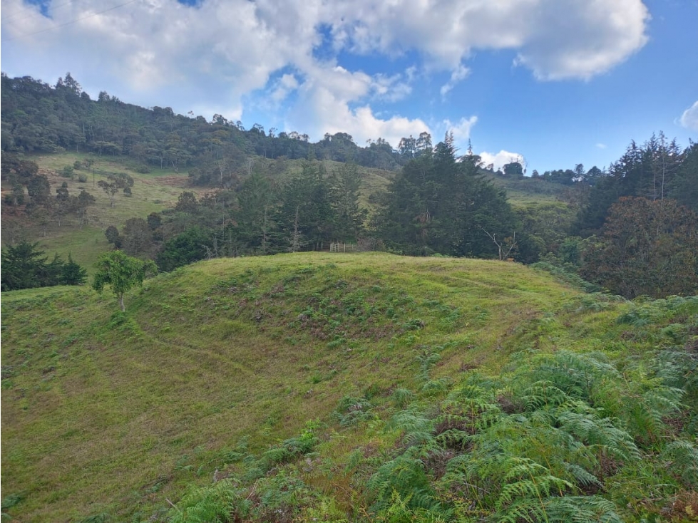 Lote Rural en Venta en el Retiro, Sector El Carmen — foto 4