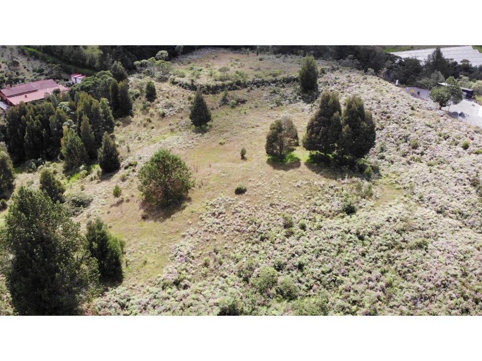 Lote en Venta, Sector Variante Palmas- Vía Aeropuerto, Envigado — foto 4
