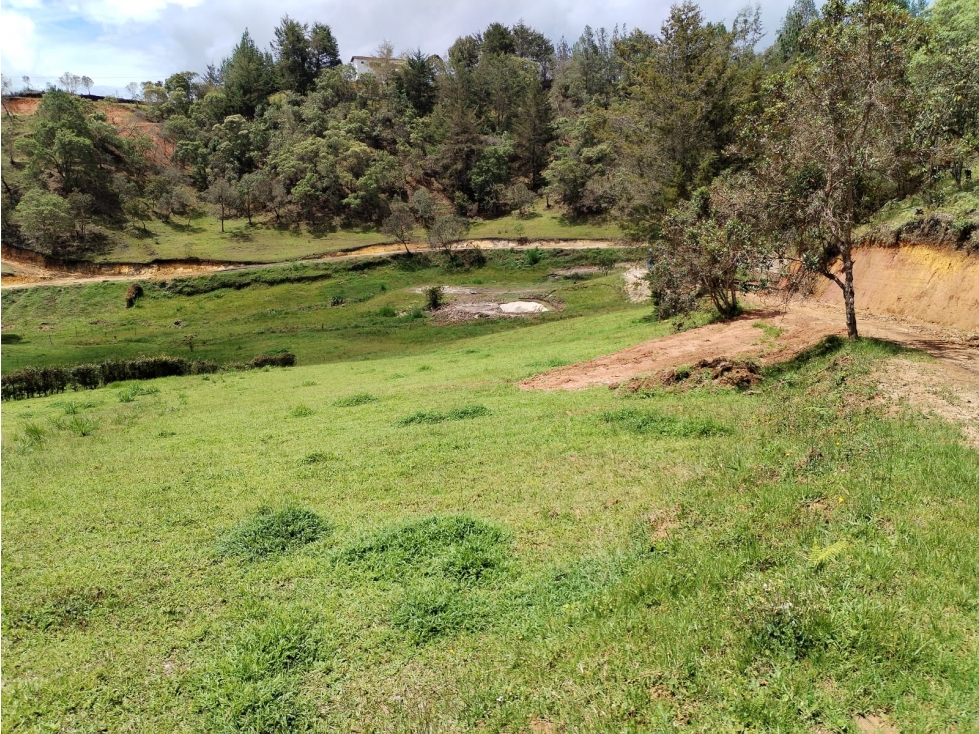 Lote en Venta en Parcelación Campestre en San Vicente — foto 4