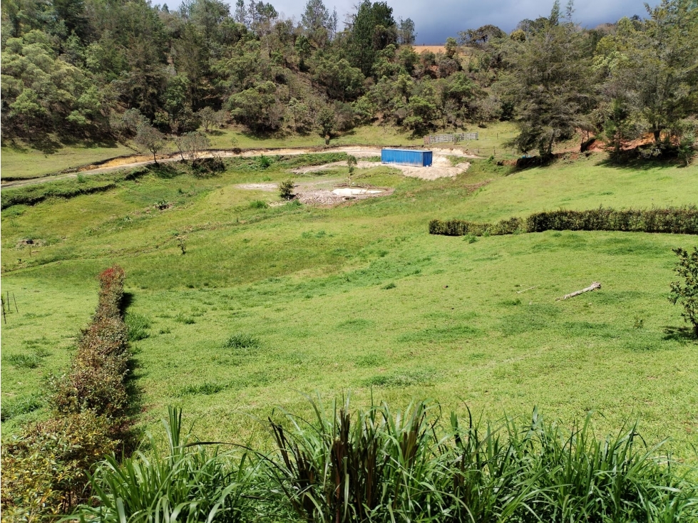 Lote Campestre en Venta, Vereda San Ignacio, San Vicente — foto 4