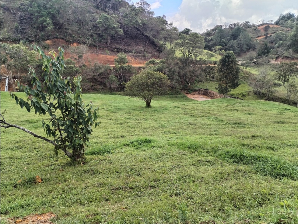 Lote Campestre en Venta Sector San Ignacio en San Vicente — foto 4