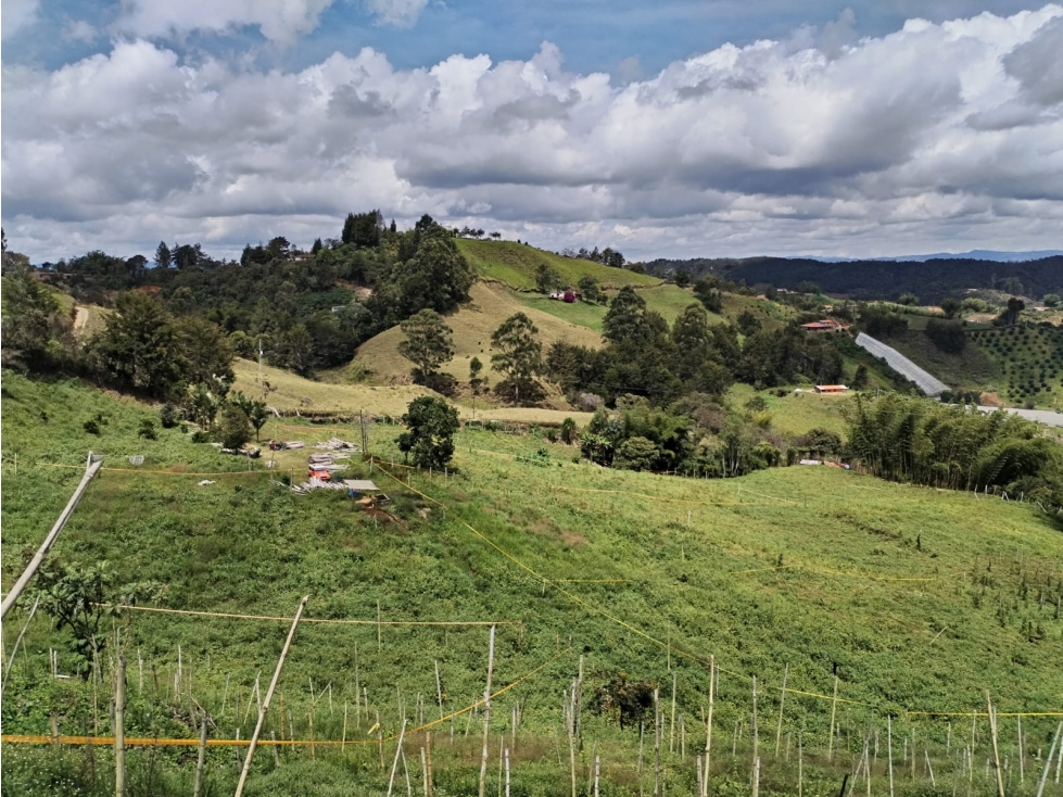 Lote en Venta, Sector la Floresta en San Vicente Ferrer — foto 4