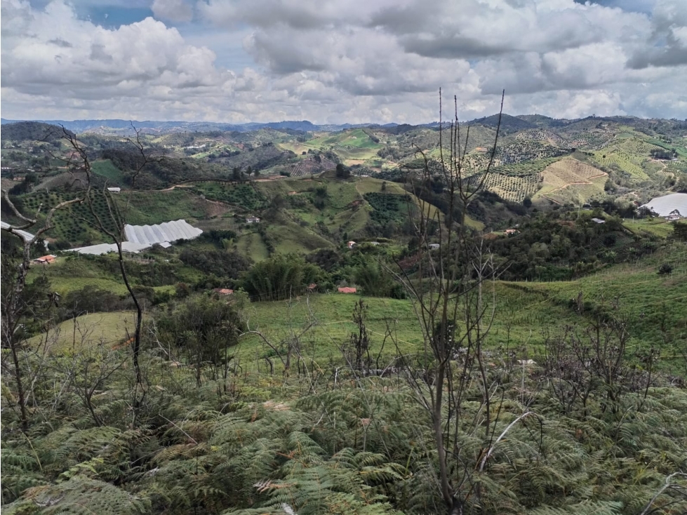Lote en Venta en Zona Campestre, Sector la Floresta en San Vicente — foto 4