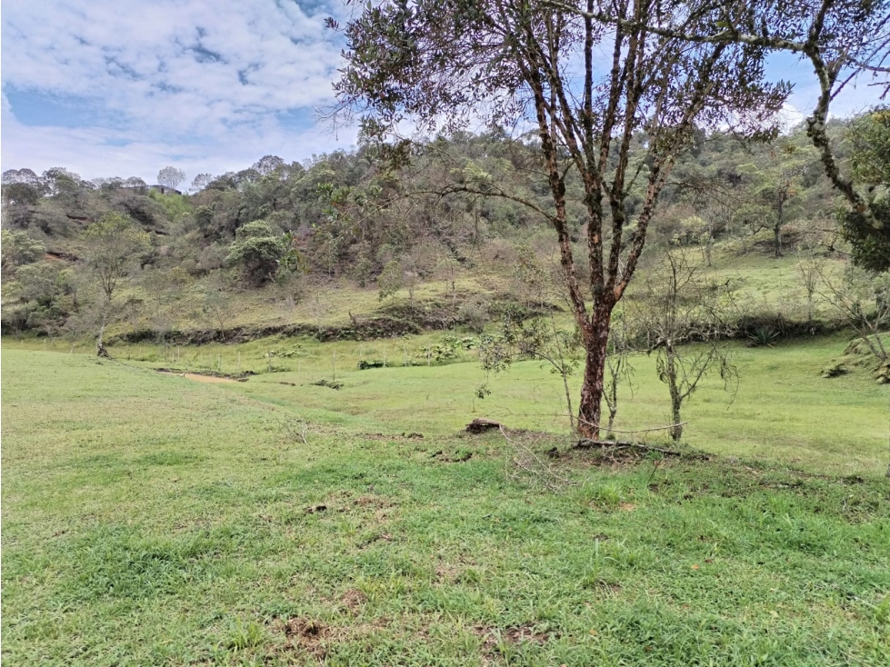 Lote en Venta Sector Vereda San Ignacio, San Vicente Ferrer — foto 4