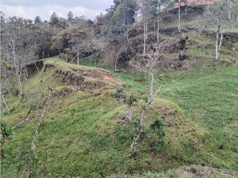 Lote en Parcelación Campestre, Vereda San Ignacio, San Vicente — foto 4