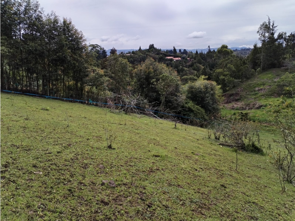 Lote Campestre en Venta, Sector Guamito, Guarne — foto 4