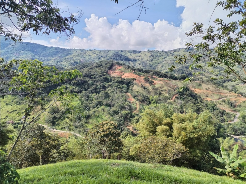 ¡Excelente Oportunidad! Lote en Venta Sector Los Cedros, CocornÃ¡ — foto 3
