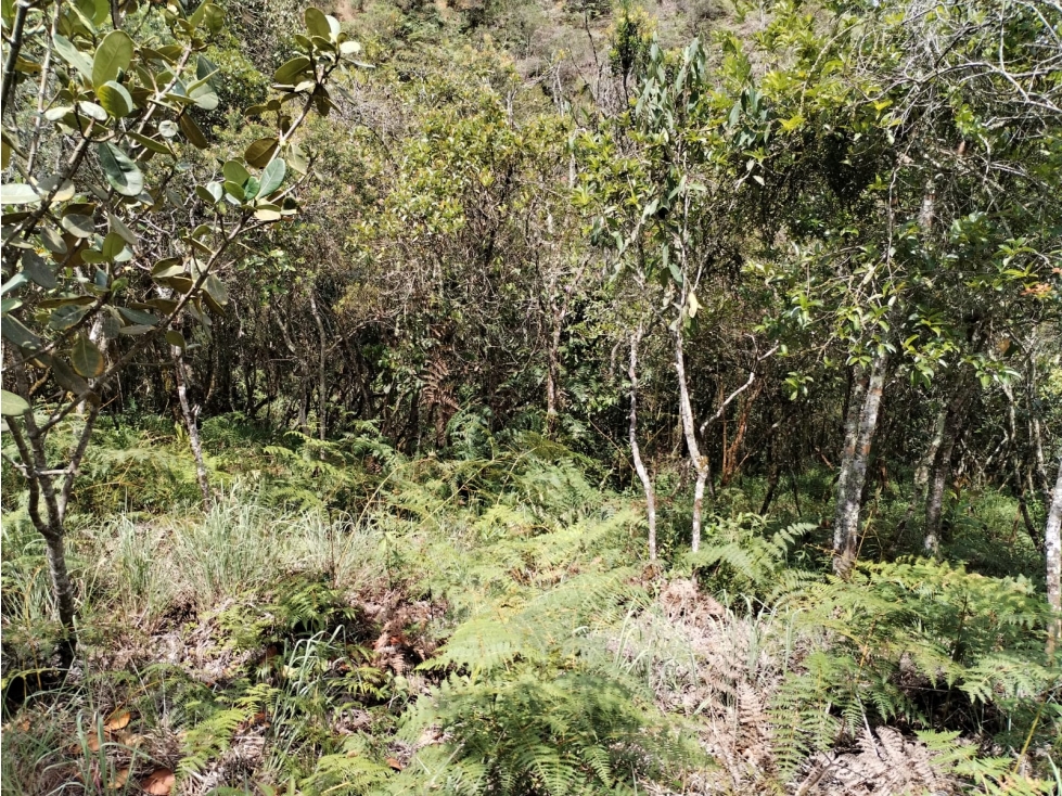 Lote en Venta Sector La Compañia, San Vicente — foto 4