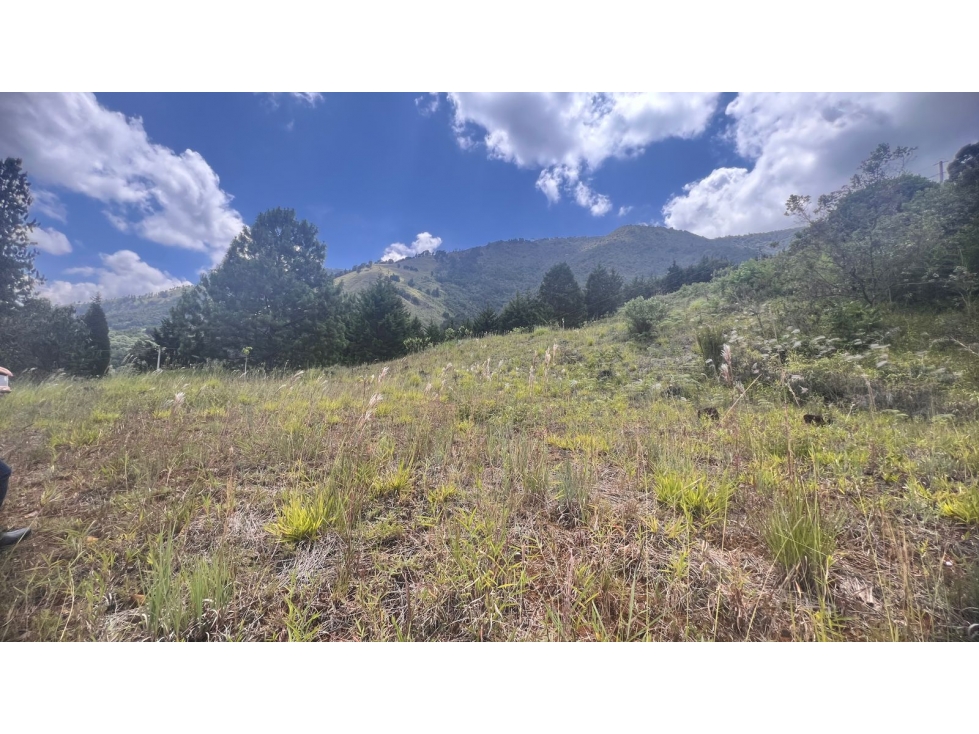 Lote en Venta Sector Cinturón Via Palmas Poblado Alto, Medellin — foto 4