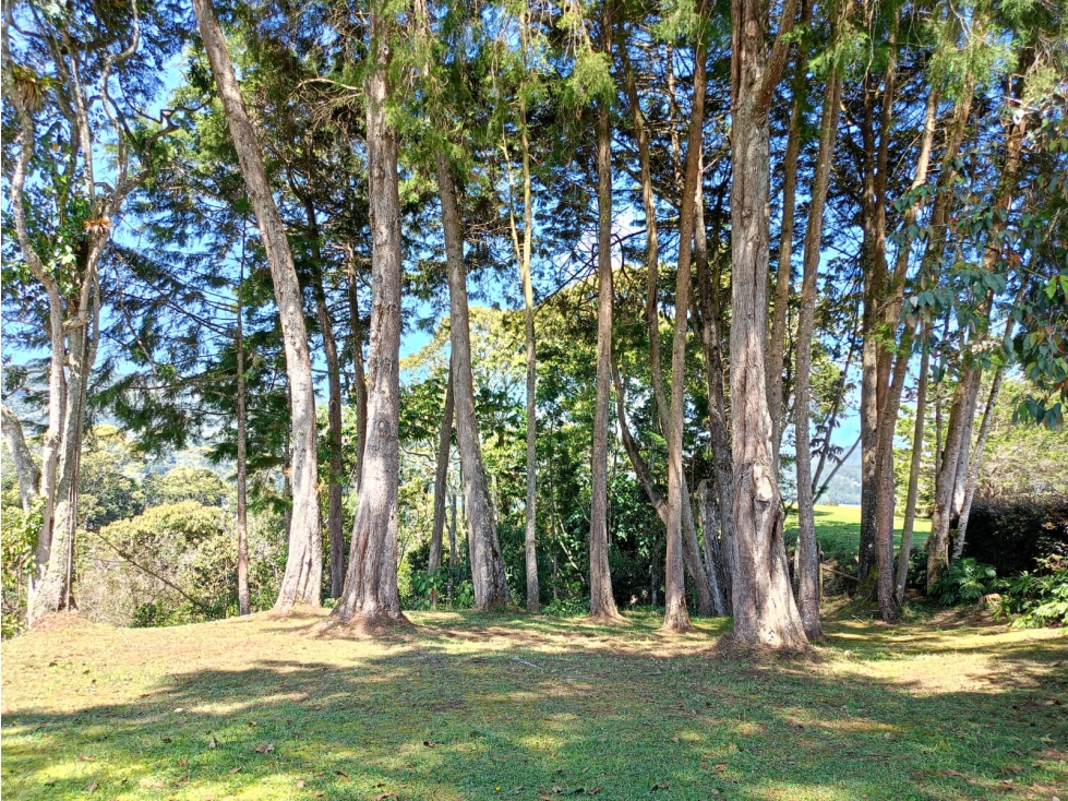 Lote en Venta Sector Fizebad, El Retiro — foto 4