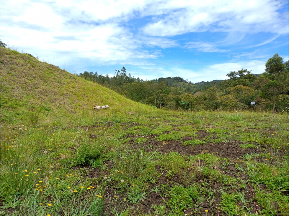 Lote en Venta Sector Pantanillo El Retiro — foto 4